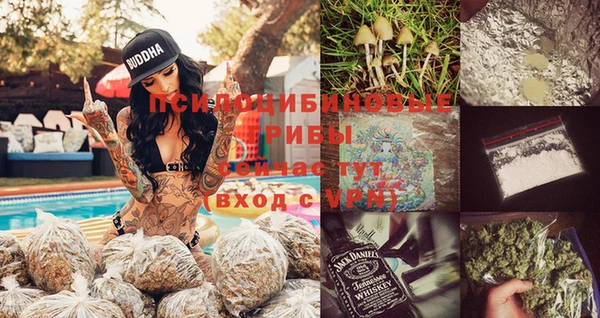 герыч Алексин