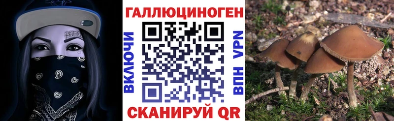 Псилоцибиновые грибы Psilocybe kraken зеркало дарк нет официальный сайт Кореновск