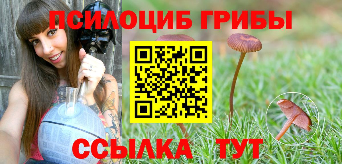 Галлюциногенные грибы мухоморы Кореновск
